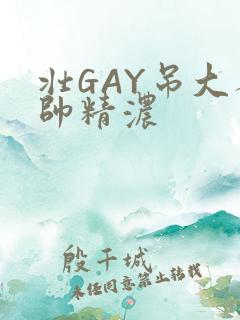 壮GAY吊大人帅精浓