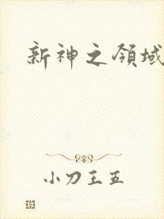 新神之领域