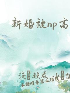 新婚被np高h