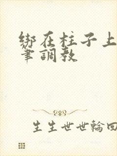 绑在柱子上用毛笔调教