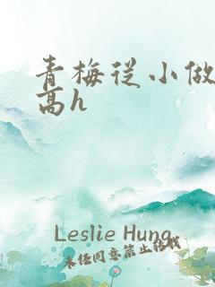 青梅从小做到大高h