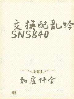 交换配乱吟粗大SNS840