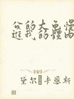 公的大龟慢慢挺进我的体内