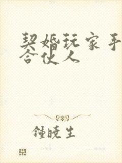 契婚玩家手册之合伙人