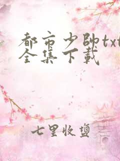 都市少帅txt全集下载