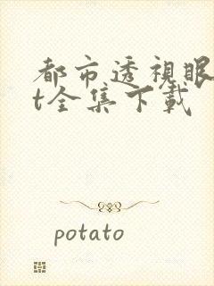 都市透视眼txt全集下载