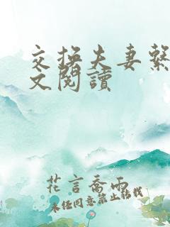 交换夫妻系列全文阅读