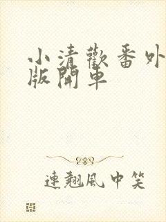 小清欢番外完整版开车