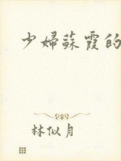 少妇苏霞的沉沦