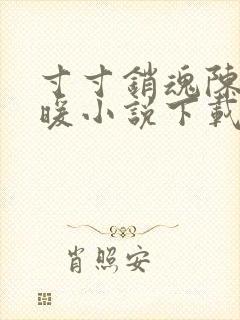 寸寸销魂陈聪王暖小说下载