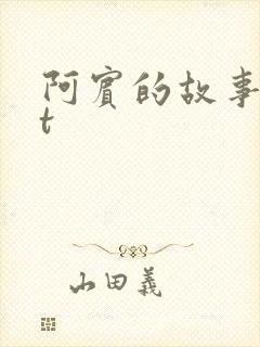 阿宾的故事txt