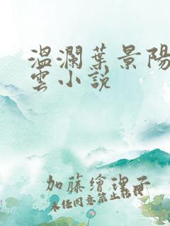 温澜叶景阳温云云小说