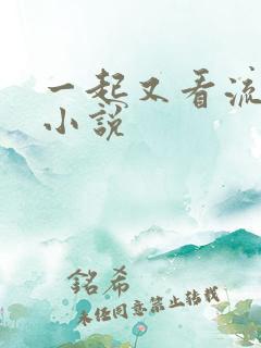 一起又看流星雨小说