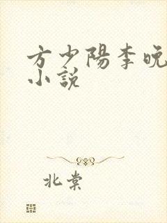方少阳李晚晴的小说