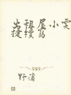 出租屋小雯和康捷续写