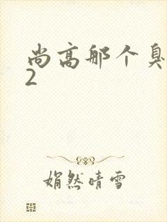 尚高那个臭小子2