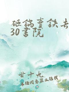 砸锅卖铁去上学30书院