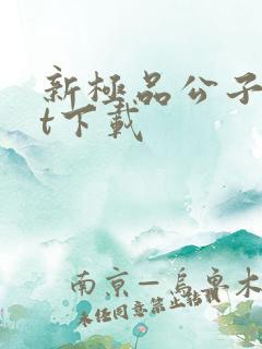 新极品公子txt下载