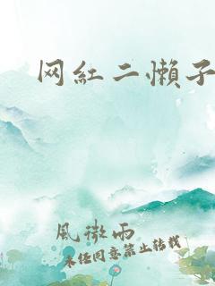 网红二懒子车祸