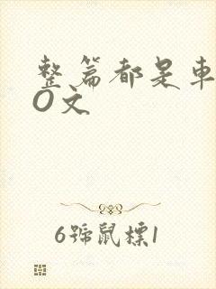 整篇都是车的PO文