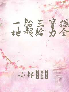 一胎三宝总裁爹地超给力全文免费阅读