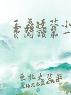 王磊晓芬小说免费阅读第一章