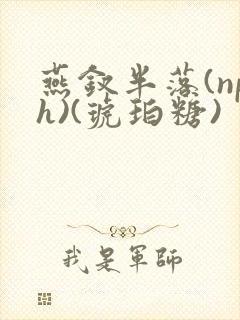 燕钗半落(nph)(琥珀糖)