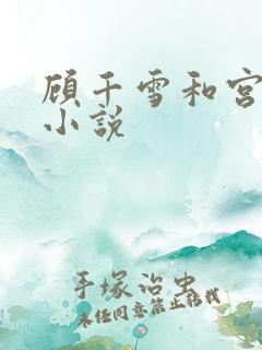 顾千雪和宫凌沨小说