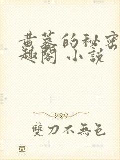 黄蓉的秘密 笔趣阁 小说