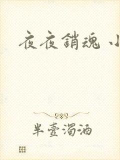 夜夜销魂 小说