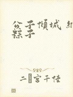 公子倾城 维和粽子