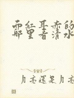 面红耳赤的小说哪里看清水村花