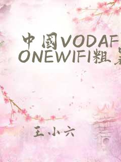 中国VODAFONEWIFI粗暴APP