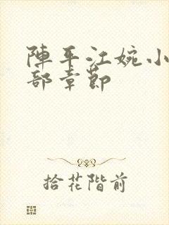 阵平江婉小说全部章节