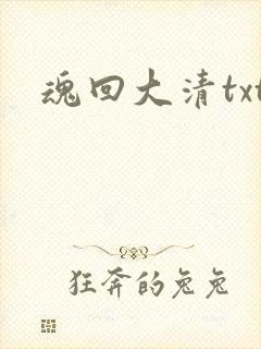 魂回大清txt