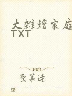 大杂烩家庭小说TXT