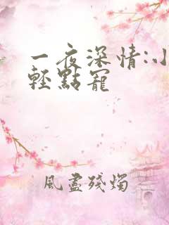 一夜深情:小叔轻点宠