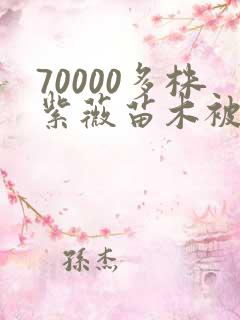 70000多株紫薇苗木被强毁