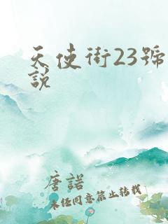 天使街23号小说