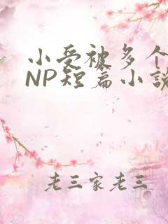小受被多个攻强NP短篇小说