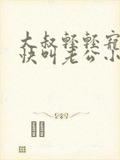 大叔轻轻宠宝贝快叫老公小说