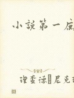 小说第一庶女