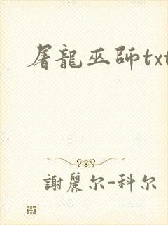屠龙巫师txt