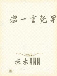 温一言梵星小说