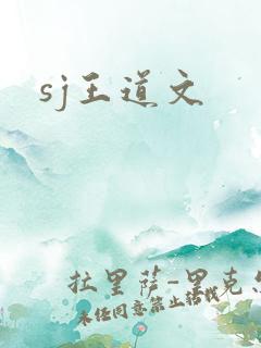 sj王道文