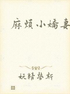 麻烦小娇妻