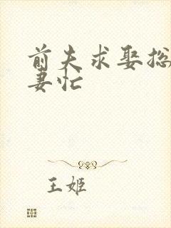 前夫求娶总裁追妻忙