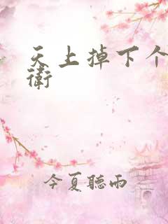 天上掉下个影卫卫