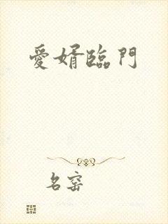 爱婿临门