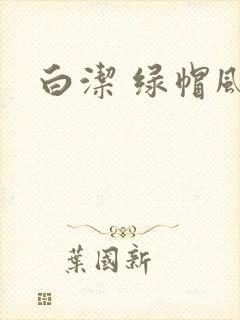 白洁 绿帽风云